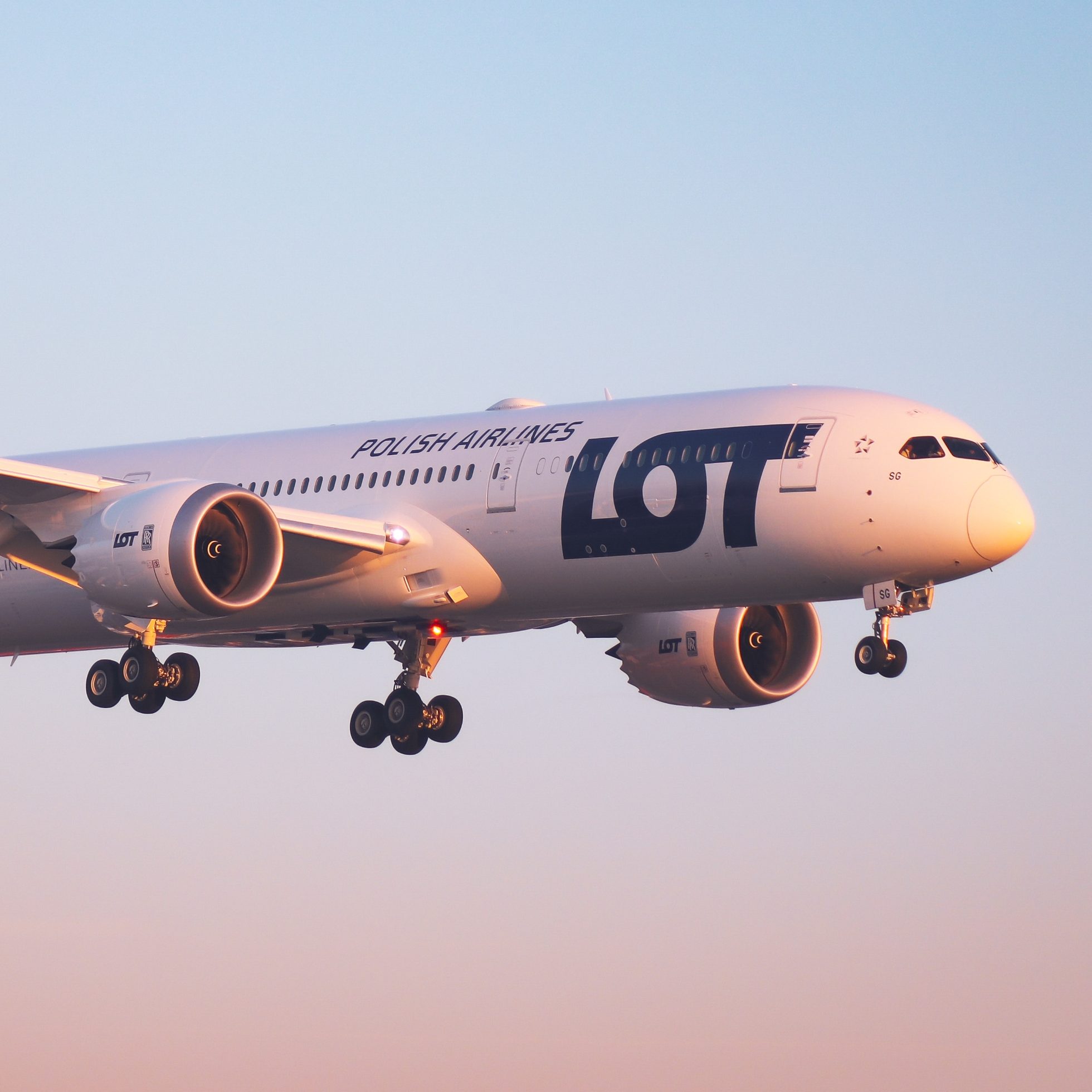 Boeing 787 Dreamliner na tle niebiesko-różowego nieba